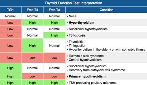 Intestinal Health, Health Guru, Stomach Problems, Thyroid Function, Medical Laboratory, English Vocabulary Words Learning, Functional Medicine, Nerve Pain, Medical Information