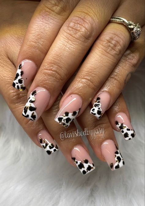 Cow print nails created by lavishedbyyary orlando/Kissimmee area dm too book ✨ Cow Print Nails, Print Nails, French Tip Nails, Purple Nails, Cow Print, How To Do Nails, Cow, Nail Designs, Nail Art