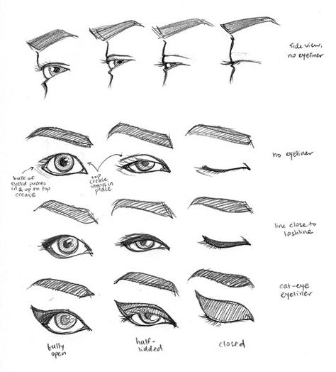 rubato: “ here are some drawings of my eyes! :D the first row should hopefully give monolidders a better idea of what exactly their eyes are doing when they’re being opened/closed… the part of the lid that hides behind the top crease becomes more... Monolid Drawing, Eyes Closed Reference Drawing, Half Lidded Eyes Drawing, Closed Eyes Sketch, Half Lidded Eyes, Closed Eye Drawing, Eye Drawing Reference, Eyes Closed Drawing, Eyes Expression