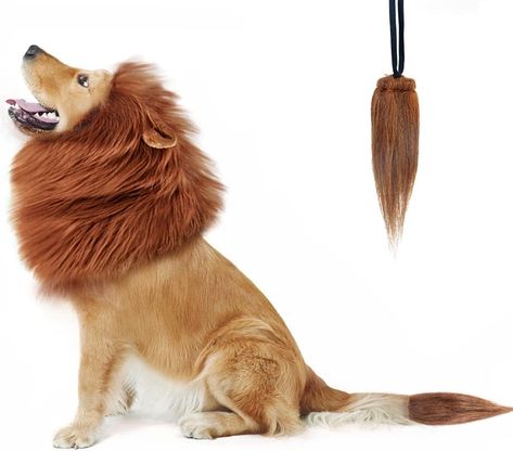 Lion Mane for Dog Costumes, Dog Lion Mane, Realistic Lion Wig for Medium to Large Sized Dogs, Large Dog Halloween Costumes, lion mane for dog， Halloween Costumes for Dogs (Dark Brown) Dog Lion Costume, Dog Costumes Halloween Large, Halloween Costumes For Pet, Large Dog Costumes, Really Big Dogs, Best Dog Halloween Costumes, Dog Lion Mane, Funny Pet Costumes, Best Dog Costumes