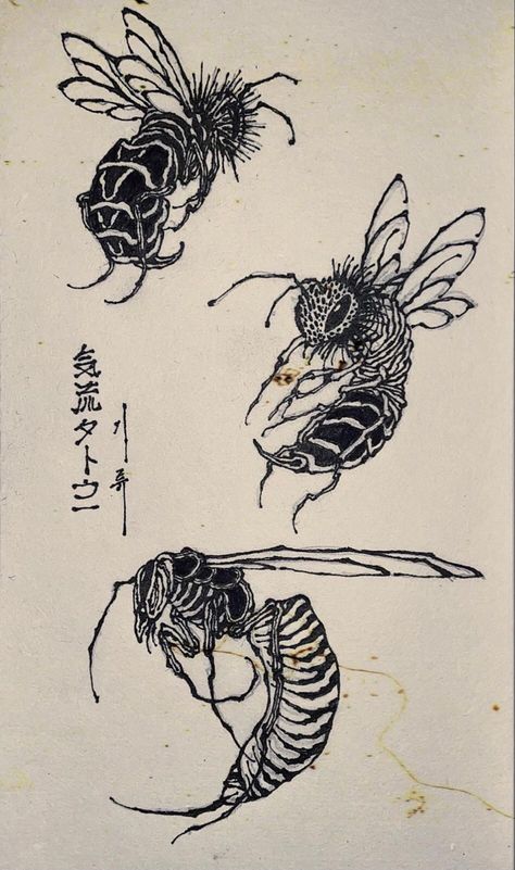 Wasp Tattoo, Bugs Drawing, Chest Tattoo Ideas, Woodcut Tattoo, Line Tattoo Ideas, Armband Tattoos, Funky Tattoos, Insect Tattoo, Bug Tattoo