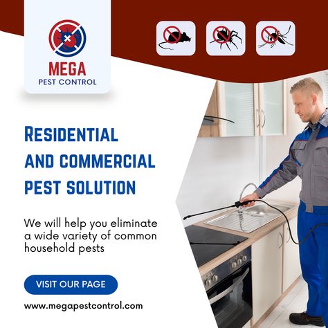 Mega Pest Control provides the leading pest control service in Abbotsford, Langley, Surrey, Canada. Contact us for residential, commercial, and industrial services now! Ant Control, Household Pests, Best Pest Control, Termite Control, Pest Management, Pest Control Services, House Cleaning Services, Bed Bugs, Protecting Your Home