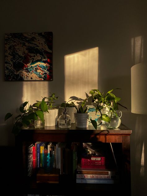 #sunlight #plants #books #library #aesthetic Books Library Aesthetic, Sunlight Plants, Plants And Books, Books And Plants, Book Cart, Library Pictures, Books Library, Library Aesthetic, Plant Book