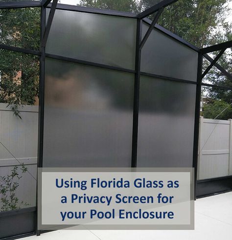 Screen Pool Enclosure Ideas, Pool Enclosure Decorating Ideas, Landscaping Around Pool Screen Enclosure, Pool Screen Enclosure Privacy Ideas, Pool Screen Privacy Ideas, Inground Pool Privacy Ideas, Lanai Privacy Ideas, Pool Cage Privacy Ideas, Lanai Ideas Florida