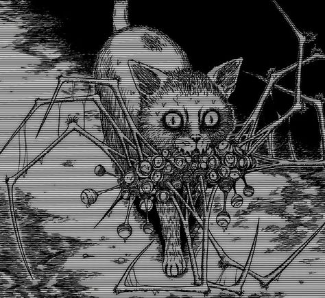 Junji Ito, Pet, Black And White, White, Black