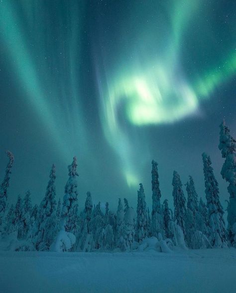 Best Places To Travel 🗺️ on Twitter: "Under the Arctic sky ✨ https://t.co/QW9jvuZfBx" Travel Northern Lights, His Dark Materials, Polar Light, Nordic Lights, The Northern Lights, Pretty Sky, The Aurora, Winter Aesthetic, Aesthetic Images