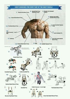 Latihan Dada, Chest Exercises, Bodybuilding Diet, Trening Fitness, Fitness Fun, Workout Chart, Chest Workouts, Workout Plans, An Exercise