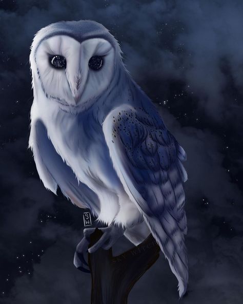 Dnd Owl Familiar Art, Owl Familiar Dnd, Giant Owl Fantasy Art, Moon Sorcerer, Fantasy Owl Art, Owl Fantasy Art, White Owl Art, Owl Familiar, Fae Forest