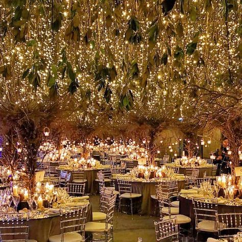 Getting excited for the holiday season 🌠 Tag someone who would love this ⭐ . . . @vincenzodascanio #luxuryweddings #5starweddings… Forest Wedding Reception, Twilight Wedding, Forest Theme Wedding, Orchard Wedding, Enchanted Forest Wedding, Extravagant Wedding, Future Wedding Plans, Theme Color, Magical Wedding