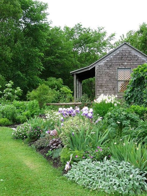 New England Garden, Backyard Gardening, Farmhouse Garden, Home Garden Design, The Secret Garden, Garden Pathway, Chelsea Flower Show, Natural Garden, Country Gardening