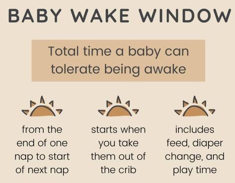 Wake Windows By Age, Wake Windows, Mom Belly, Postpartum Health, Labor Nurse, Baby Nap, Postpartum Doula, Parental Guidance