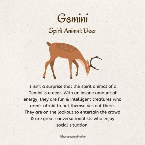 Spirit Animal Zodiac Signs, Zodiac Spirit Animals, Gemini Spirit Animal, Gemini Animal, Gemini Princess, Animal Totem Spirit Guides, One For Sorrow, June Gemini, Spirit Animal Meaning