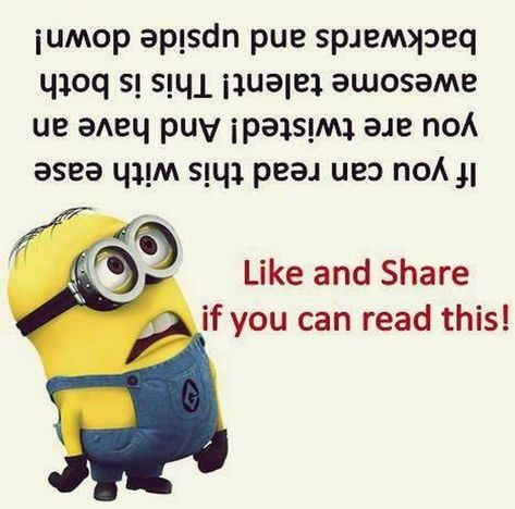 Funny Minion Pictures, Picture Jokes, Funny Minion Memes, Minion Pictures, Minion Jokes, Funny Mind Tricks, Tom Y Jerry, A Minion, Clean Jokes