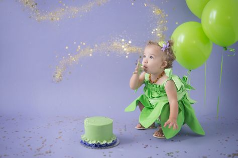 Tinkerbell Photoshoot Ideas, Tinkerbell Smash Cake, Vintage Tinkerbell, Smash Cake First Birthday, Cake First Birthday, Fairy Princess Birthday, Tinkerbell Birthday, Tinkerbell Cake, Smash Cake Girl