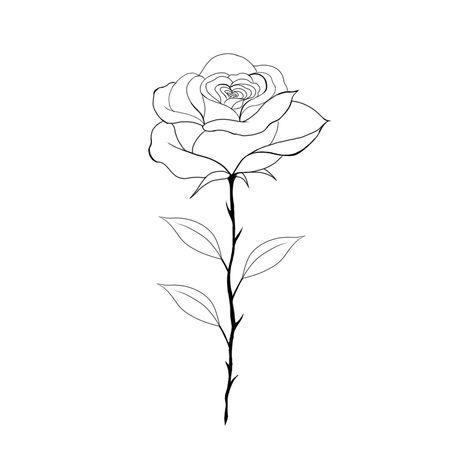 Jasmine Tattoo, Rose Tattoo, Lotus, Cherry, Tattoos, Quick Saves