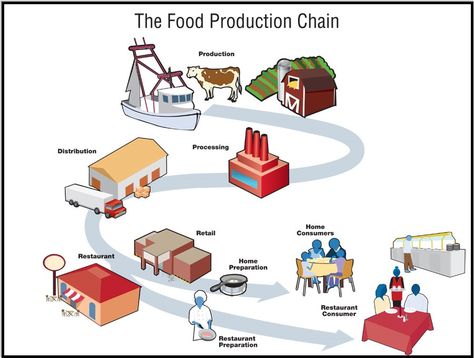 Phase Five Supply Chain – With a Message From A Dairy Farmer…. | The Last Refuge Supply Chain Infographic, Industry Illustration, Pizza Sale, Sustainable Food Systems, From Farm To Table, Food Resources, Kitchen Safety, Technology Lessons, Consumer Packaging