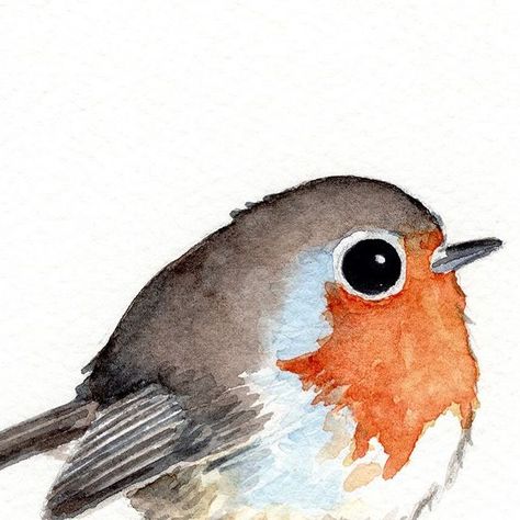 Robin Drawing, Bird Artists, Motivate Me, Round Robin, Cute Bird, Bird Artwork, Great Week, Watercolor Drawing, Watercolor Bird