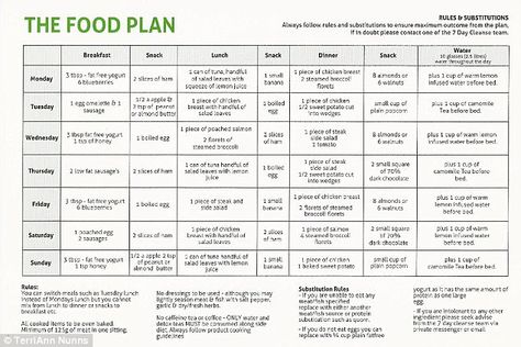 The plan involves eating small meals, consisting mainly of protein and vegetables, with very few carbs. Gina estimated she was eating fewer than 1,000 calories a day Six Small Meals A Day Plan, Six Small Meals A Day Plan Diet, 6 Small Meals A Day Plan Ideas, Small Meals 5 Times A Day, 1 000 Calorie Meal Plan, One Day Cleanse, Ozempic Diet, 7 Day Cleanse, Meal Schedule