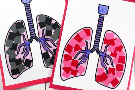 Teach young kids about the respiratory system with this simple lung craft for preschoolers. It's a great activity for human body unit studies. How Our Body Works Preschool, Human Body Craft Kindergarten, Human Body Kindergarten Activities, Our Bodies Preschool Theme, Human Body Art For Kids, Healthy Bodies Preschool Activities, Human Body Crafts For Kids, Body Kindergarten, Human Body Crafts