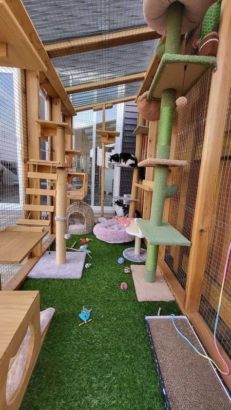 Cat Catio Indoor, Diy Cat Jungle Gym Wall, Cat Enrichment Ideas Indoor, Dog Enclosure Ideas Outdoor, Cat Enclosure Ideas, Catios Ideas For Cats, Cat Enrichment Ideas, Kitten Enclosure, Cat Daycare