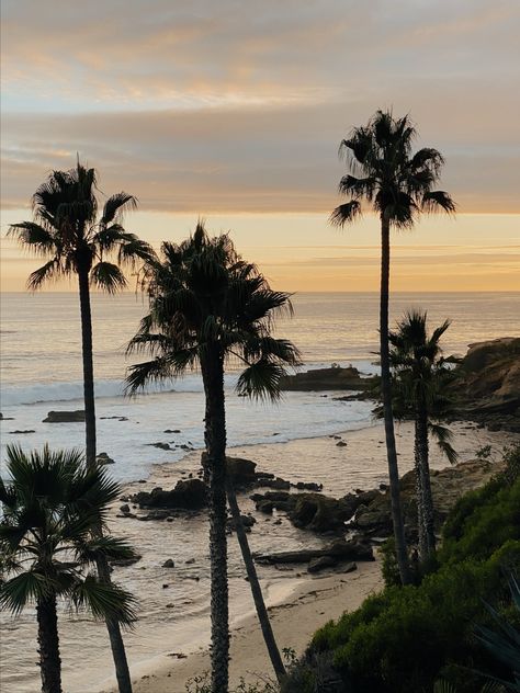 Laguna Beach, Ca Laguna Beach California Photography, Laguna Beach California, Beautiful Pics, California Photography, Beach California, Laguna Beach, Beautiful Pictures, California, Photography