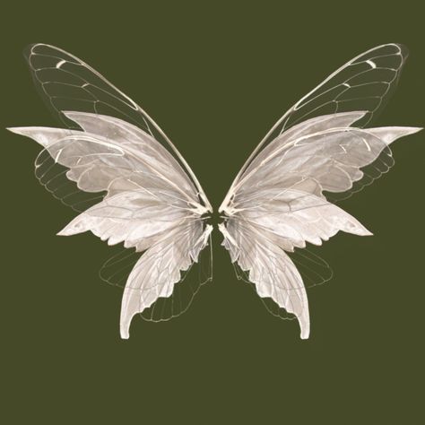 Dark Widgets, Wings Drawing, Seni Vintage, Tapeta Pro Iphone, 문신 디자인, Black Butterfly, Fairy Wings, White Butterfly, Butterfly Wallpaper