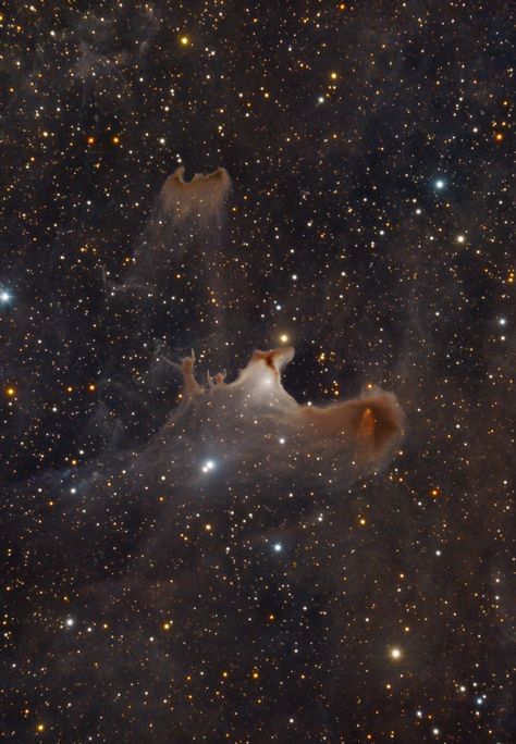 Sh2-136 the Ghost Nebula by Anthony Quintile Full res 4000x5600 Ghost Nebula, The Ghost, Deep Space, His Eyes, Astronomy, Cosmos, Astrology, Ghost, Moon