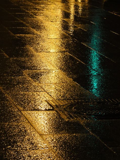 The simple beauty of a wet sidewalk. Wet Sidewalk, Favorite Season, Fall Weather, Simple Beauty, Scary Movies, Abstract Artwork, Beauty, Art