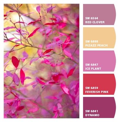 Colour Pallettes, Paint Palettes, Ice Plant, Color Schemes Colour Palettes, Paint Color Palettes, Handmade Inspiration, Colour Ideas, Design Seeds, Color Palette Design