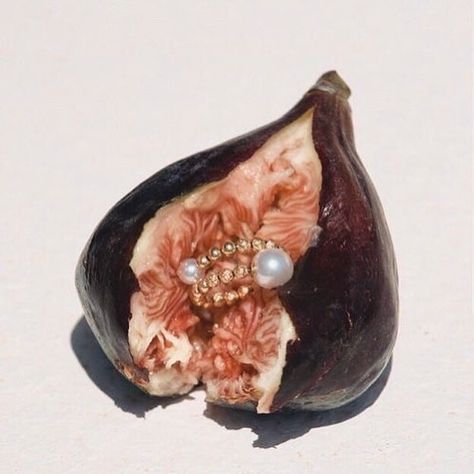 1. Figs are not fruit but a mass of inverted flowers and seeds that require pollination by tiny symbiotic wasps. 2. Figs represent fertility. They have been linked to increasing sperm motility. 3. Buddha became enlightened under a fig tree. 4. Hebrew traditions see it as a symbol of peace and abundance. The beautiful capture by Mason Pool for @lucy_folk #Figs #Buddha #Fertility #Flowers #Fruits #Wasps #Pearl #LucyFolk #MasonPoole #JewelleryDesign #Handmade #FashionArt #Symbiotic #Slo Creative Jewelry Photography, Easy Drawing Tutorial, Jewelry Editorial, Jewelry Photoshoot, Prop Styling, Jewelry Photography, Photography Inspo, Aphrodite, Still Life Photography