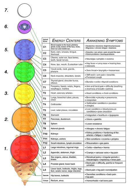 Chart depicting nervous system in relation to our Chakras, including physical symptoms that may be felt as spiritual awakening, our Chakras, and psychodynamic therapy, assist us during the healing process - sometimes known as "healing crisis" due to symptoms. Psychodynamic Therapy, Spiritual Awakening Stages, Body Dr, Body Chakras, Energy Psychology, Spiritual Ascension, Facial Nerve, Hearing Problems, Energy Healing Reiki