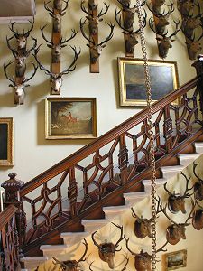 Some of the 87 Stags Heads at Brodick Castle, built in the 14th century, Scotland Taxidermy Room, English Hunting Lodge, Hunting Lodge Interiors, Arran Scotland, Animal Horns, Taxidermy Decor, Deer Heads, Fishermans Cottage, Castle Gardens