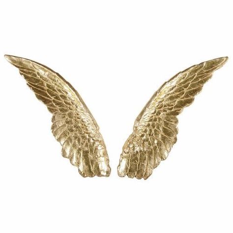 Eros And Psyche, Wings Png, Victoria Secret Wallpaper, Facebook Cover Images, Angel Feathers, Golden Wings, Angel Artwork, Angel Crafts, Gold Aesthetic