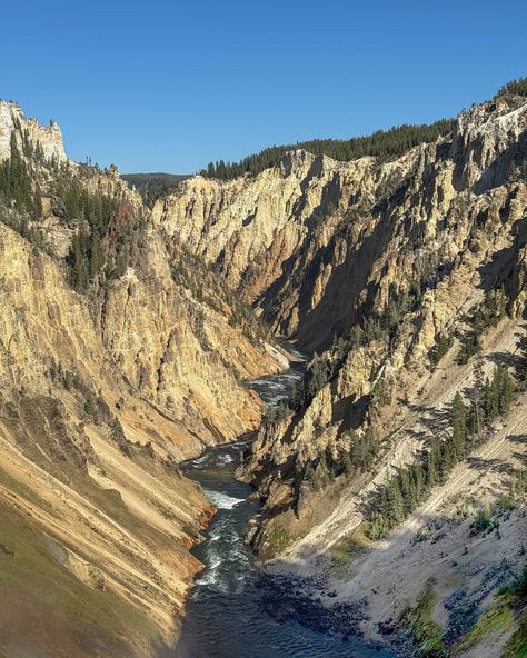 The Grand Canyon of Yellowstone from a different view 👀 🌲 #grandcanyonofyellowstone #yellowstone #yellowstoneinfall The Grand Canyon, Yellow Stone, Grand Canyon, Travel