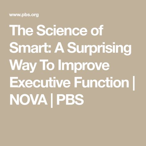 Executive Functioning For Adults, Improve Executive Functioning Adults, Executive Function, Executive Functioning Skills, White Matter, Flexibility Training, Working Memory, Executive Functioning, Get Your Life