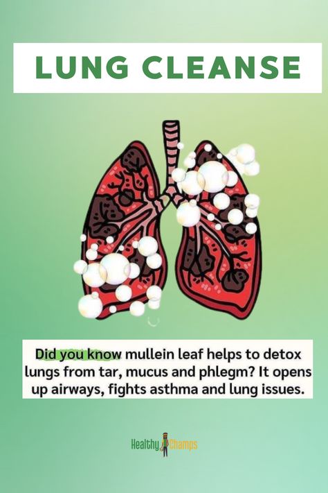 Mullein Leaf Benefits, Mullein Benefits, Herb Pantry, Benefits Of Mullein, Mullein Leaf, Lung Cleanse, Holistic Health Coach, Natural Healing Remedies, Healing Plants