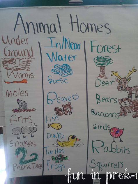 Fun in PreK-1: A Picture Palooza of Animal Homes & Life Cycles Animal Homes, Animal Lessons, Creative Curriculum, Animal Study, Kindergarten Science, Animal Activities, Preschool Science, Animal Habitats, E Mc2