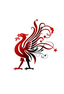 Liverbird Tattoo, Lfc Tattoo, Liverpool Bird, Liver Bird, Liverpool Tattoo, Red Bird Tattoos, Tattoo Bird, Small Bird Tattoo, Bird Logo Design