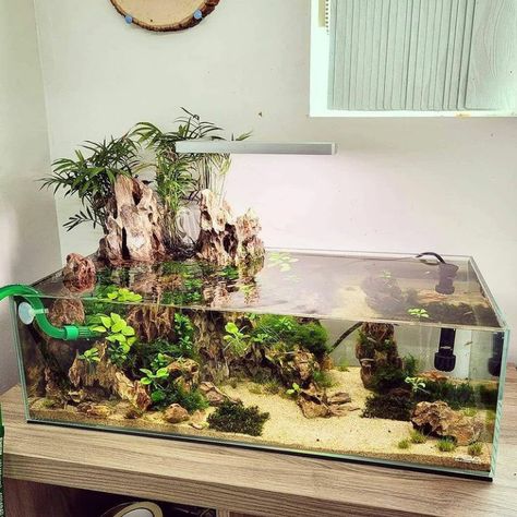 Fish Tank Themes, Aquarium Garden, Fish Tank Terrarium, Turtle Habitat, Cool Fish Tanks, Diy Fish Tank, Aquascape Design, Fish Tank Design, Betta Aquarium