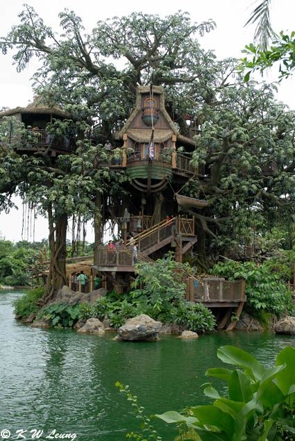 Tarzan's Treehouse at Disneyland Hong Kong | Photo by Kai-Wing Leung Swiss Family Robinson Treehouse, The Swiss Family Robinson, Nature Drawings, Beautiful Tree Houses, Casa Hobbit, Disneyland Attractions, Swiss Family Robinson, Building A Treehouse, Tree House Diy