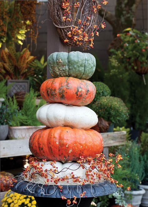 5 Ways to Style Your Pumpkins This Season - Cottage Journal Fancy Pumpkins, Pumpkin Plants, Altar Inspiration, Autumnal Decor, Autumn Cottage, October Country, Halloween Pics, Planting Pumpkins, Fall Container Gardens