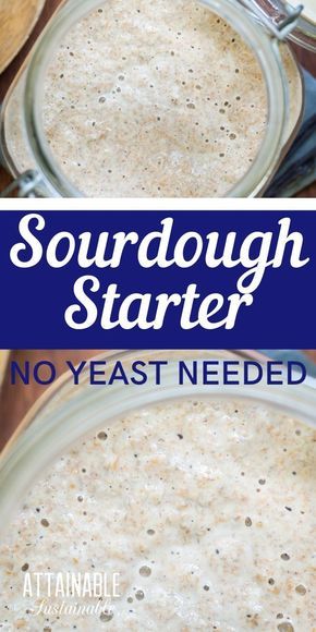 Make Yeast At Home, Natural Yeast Recipes, Sourdough Starter With All Purpose Flour, How To Make Yeast At Home, How To Make Yeast, No Yeast Sourdough Bread Recipe, Wild Yeast Bread Recipe, Sourdough Starter With Yeast, What Is Sourdough