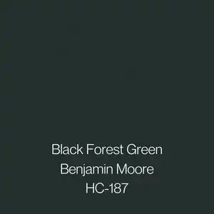 Benjamin Moore Dark Green, Popular Dark Green Paint Colors, Dark Green Paint Colors, Dark Green Shades, Historic Paint Colours, Dark Green Paint, Revere Pewter Benjamin Moore, Painting Bathroom Cabinets, Black Forest Green