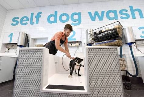 Self Wash Dog Wash, Self Dog Wash, Self Serve Dog Wash, Self Service Dog Wash, Pet Lifestyle, Indoor Dog Park, Dog Station, Pet Store Design, Pet Services