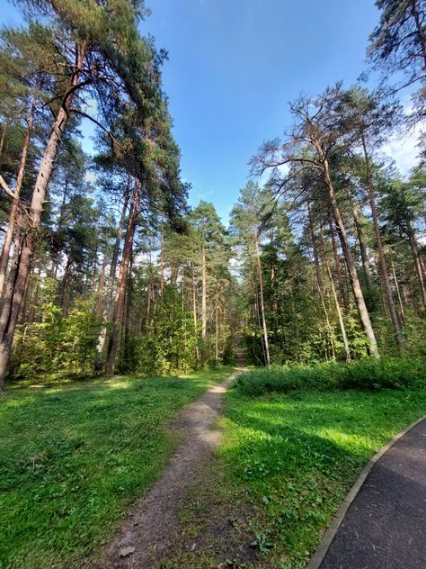 #nature #forest #wallpapers #Latvia #Daugavpils #sunday #sky Latvia Landscape, Daugavpils Latvia, Childhood Aesthetic, European Travel, Latvia, Country Roads, Forest, Travel, Quick Saves