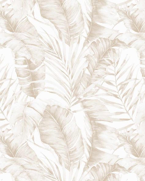 Palm Tree Nursery, Palm Tree Wallpaper, Palm Trees Wallpaper, Palm Leaf Wallpaper, Palm Wallpaper, View Wallpaper, Mountain Wallpaper, Latest Wallpapers, Modern Beach House