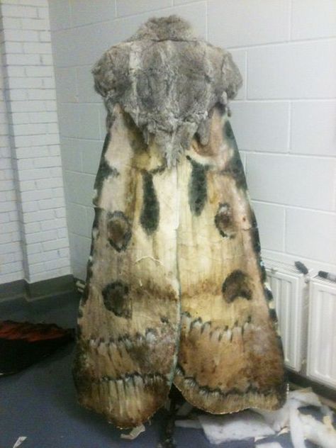 Trouvée sur Bing sur www.pinterest.com Moth Cloak, Moth Humanoid, Animal Inspired Fashion, Insect Costume, Fae Creatures, Prop Maker, Larp Costume, Tim Walker, Prop Stylist