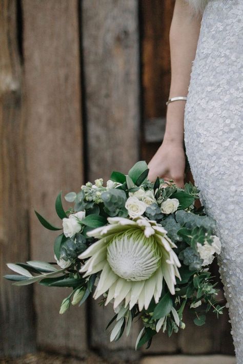 White King Protea Wedding Bouquet, Protea And Eucalyptus Bouquet, White King Protea Bouquet, Bridal Bouquet Protea, Wedding Flowers Protea, Fynbos Wedding Bouquet, White Protea Bouquet Wedding, Wedding Bouquet Protea, White Protea Bouquet