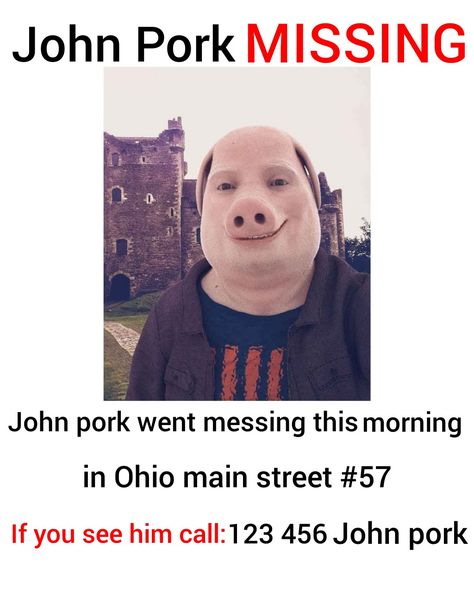 John Pork Aesthetic, John Pork Is Calling Video, Boracay Aesthetic, John Pork Is Calling, John Pork, Ed Sheeran Facts, Am I Ok, Papa Johns, Old Memes