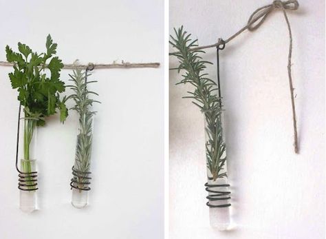 Borosilicate Test Tubes: http://gardenista.com/posts/diy-twisted-wire-vases# Test Tube Vase, Plant Projects, Hanging Vases, Diy Vase, Twisted Wire, Propagating Plants, Diy Planters, Test Tube, Wire Art